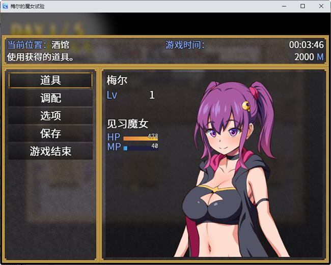 图片[6]-梅尔的魔女试验 官方中文版整合所有DLC PC+安卓 RPG游戏 950M-V次元